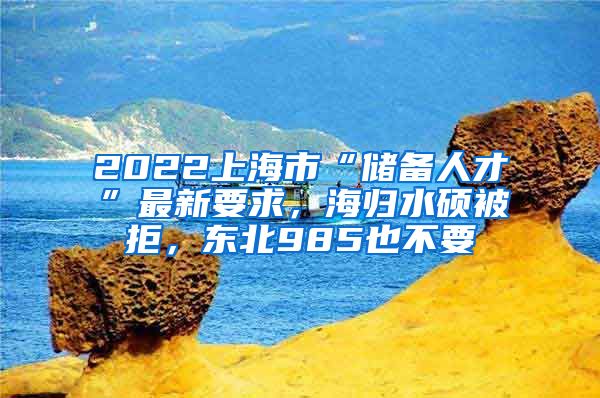 2022上海市“储备人才”最新要求，海归水硕被拒，东北985也不要