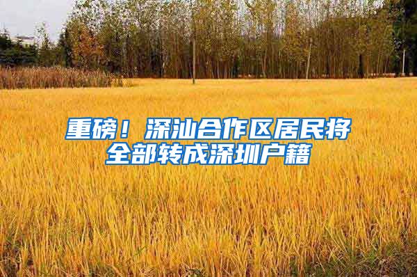 重磅！深汕合作区居民将全部转成深圳户籍