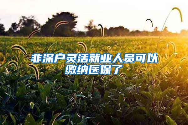 非深户灵活就业人员可以缴纳医保了