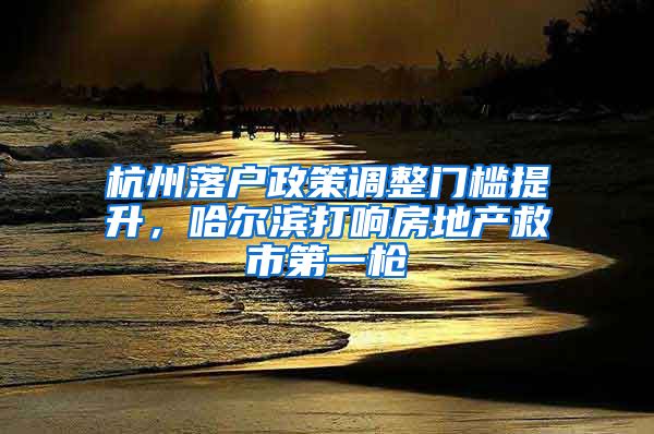 杭州落户政策调整门槛提升，哈尔滨打响房地产救市第一枪