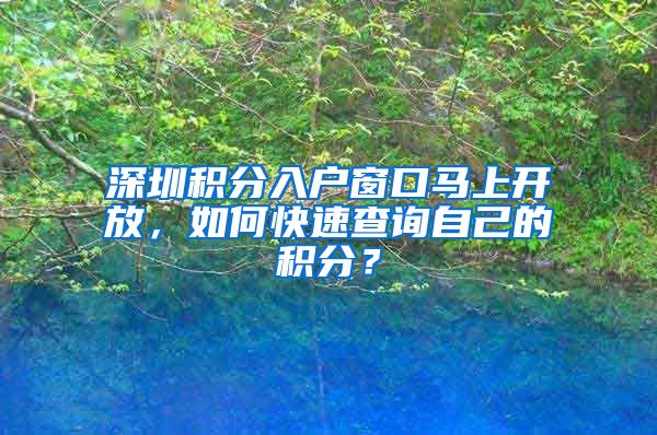 深圳积分入户窗口马上开放，如何快速查询自己的积分？