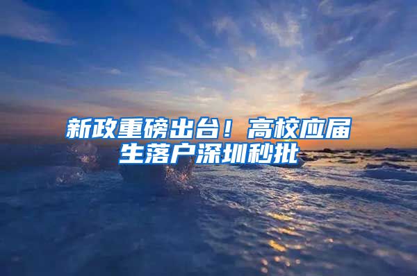 新政重磅出台！高校应届生落户深圳秒批