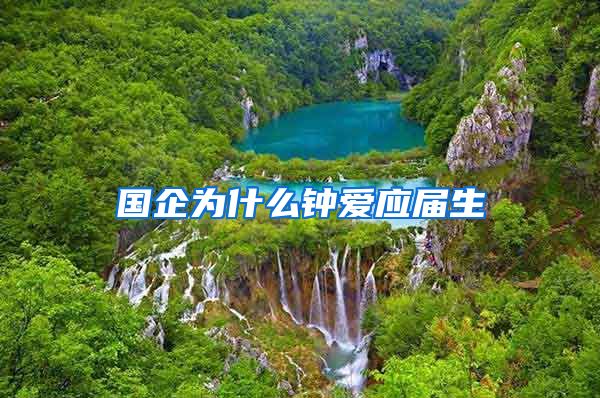 国企为什么钟爱应届生