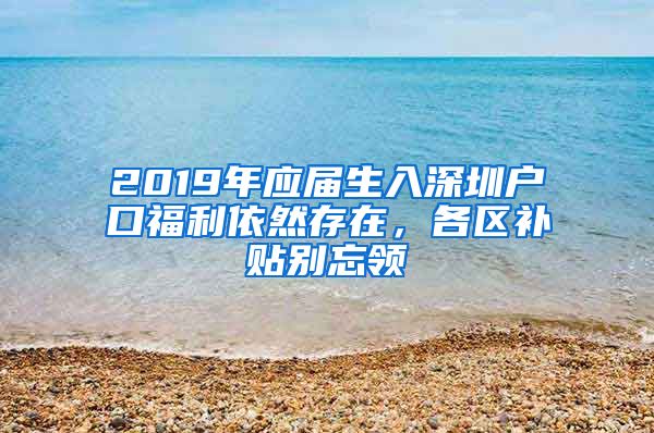 2019年应届生入深圳户口福利依然存在，各区补贴别忘领