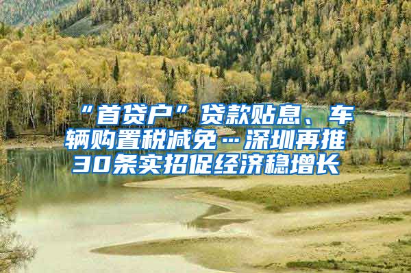 “首贷户”贷款贴息、车辆购置税减免…深圳再推30条实招促经济稳增长
