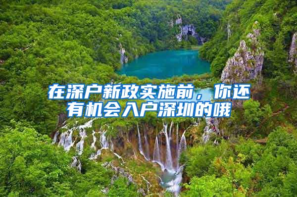在深户新政实施前，你还有机会入户深圳的哦
