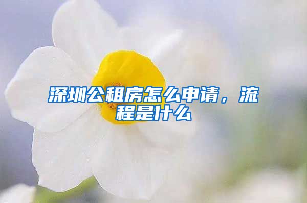深圳公租房怎么申请，流程是什么