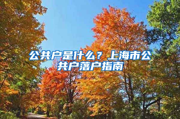 公共户是什么？上海市公共户落户指南