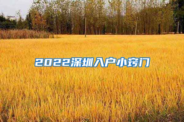 2022深圳入户小窍门
