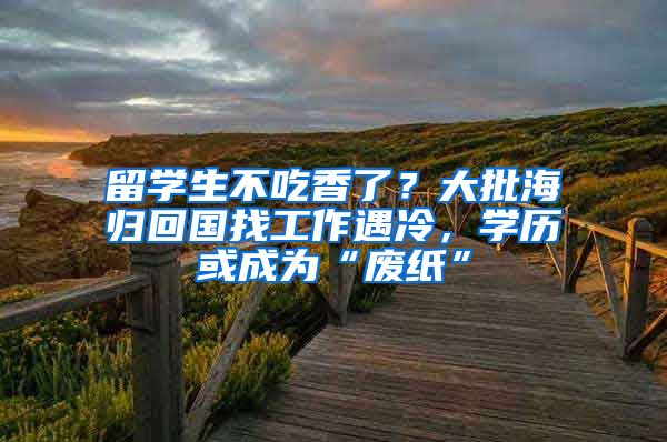 留学生不吃香了？大批海归回国找工作遇冷，学历或成为“废纸”