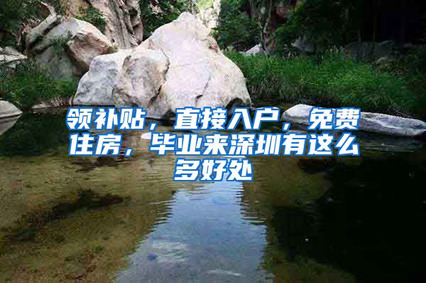 领补贴，直接入户，免费住房，毕业来深圳有这么多好处