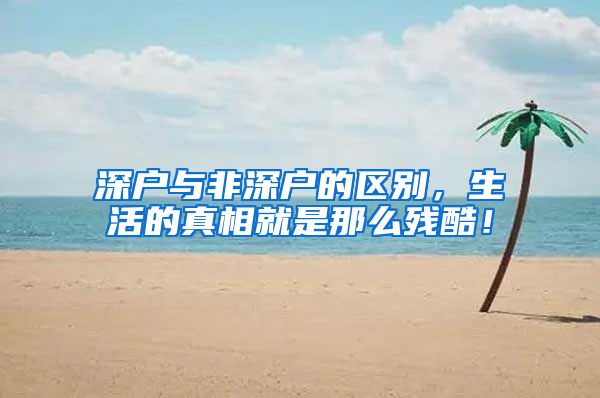 深户与非深户的区别，生活的真相就是那么残酷！