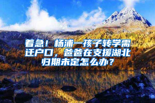 着急！杨浦一孩子转学需迁户口，爸爸在支援湖北归期未定怎么办？