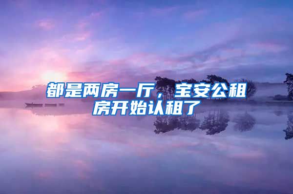 都是两房一厅，宝安公租房开始认租了