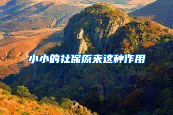 小小的社保原来这种作用