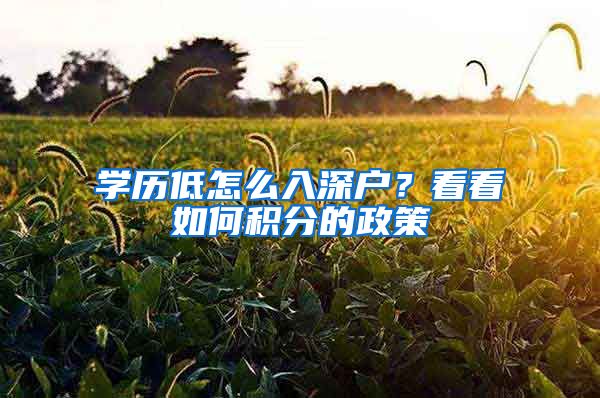 学历低怎么入深户？看看如何积分的政策