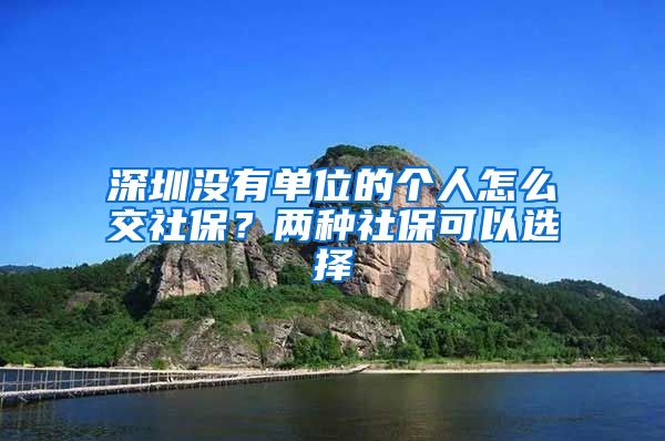 深圳没有单位的个人怎么交社保？两种社保可以选择