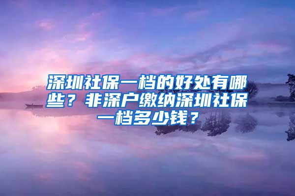 深圳社保一档的好处有哪些？非深户缴纳深圳社保一档多少钱？