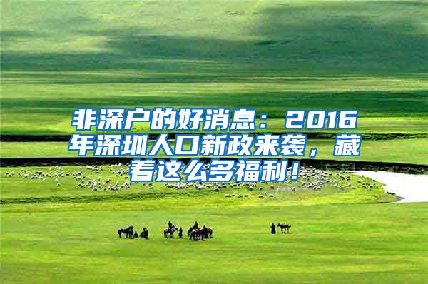 非深户的好消息：2016年深圳人口新政来袭，藏着这么多福利！