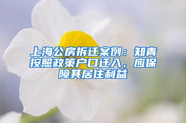 上海公房拆迁案例：知青按照政策户口迁入，应保障其居住利益