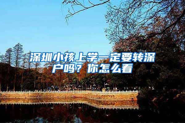 深圳小孩上学一定要转深户吗？你怎么看