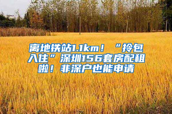 离地铁站1.1km！“拎包入住”深圳156套房配租啦！非深户也能申请