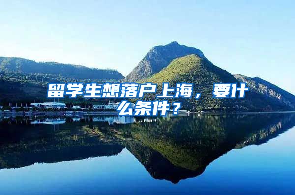 留学生想落户上海，要什么条件？