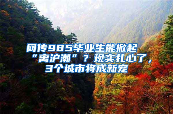 网传985毕业生能掀起“离沪潮”？现实扎心了，3个城市将成新宠