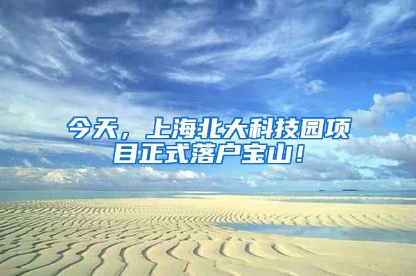 今天，上海北大科技园项目正式落户宝山！