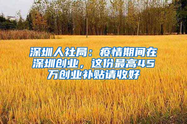 深圳人社局：疫情期间在深圳创业，这份最高45万创业补贴请收好