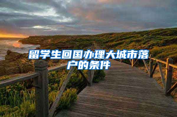 留学生回国办理大城市落户的条件