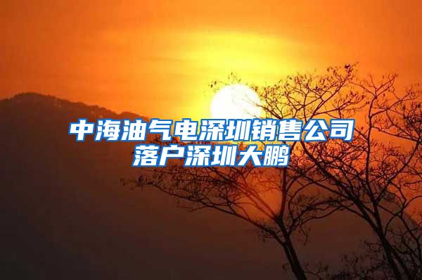 中海油气电深圳销售公司落户深圳大鹏
