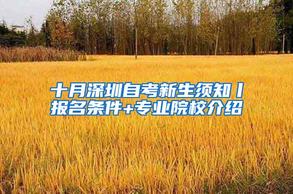 十月深圳自考新生须知丨报名条件+专业院校介绍