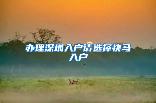 办理深圳入户请选择快马入户
