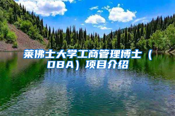 莱佛士大学工商管理博士（DBA）项目介绍