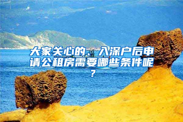 大家关心的、入深户后申请公租房需要哪些条件呢？
