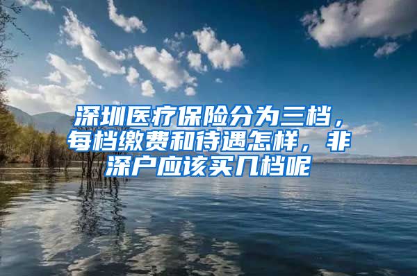 深圳医疗保险分为三档，每档缴费和待遇怎样，非深户应该买几档呢