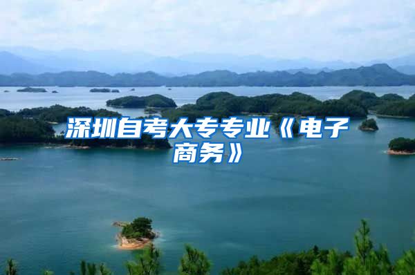 深圳自考大专专业《电子商务》