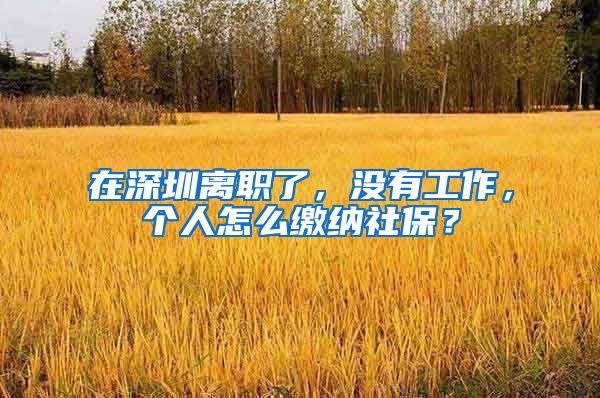 在深圳离职了，没有工作，个人怎么缴纳社保？