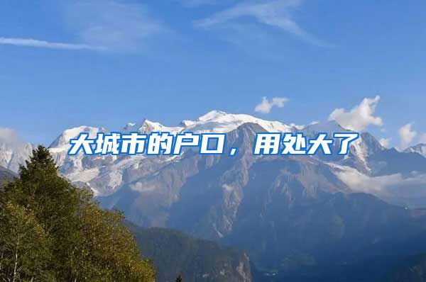 大城市的户口，用处大了