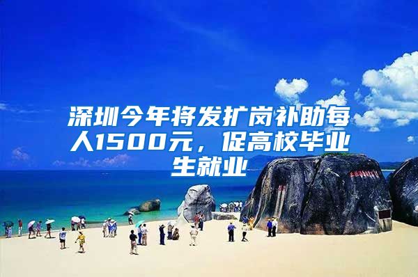 深圳今年将发扩岗补助每人1500元，促高校毕业生就业