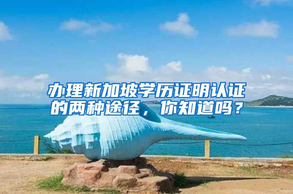 办理新加坡学历证明认证的两种途径，你知道吗？