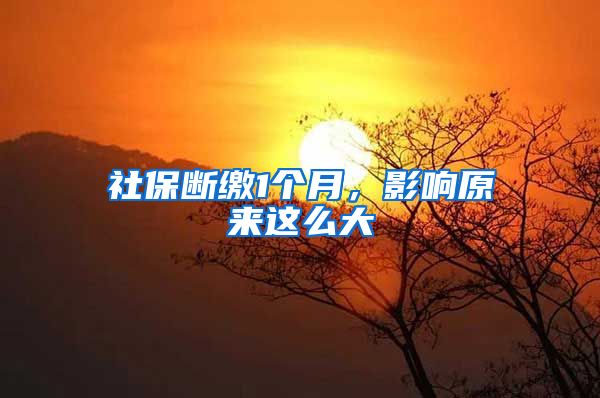 社保断缴1个月，影响原来这么大