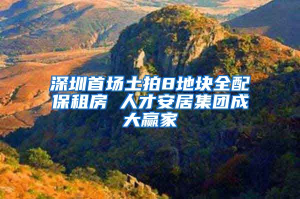 深圳首场土拍8地块全配保租房 人才安居集团成大赢家