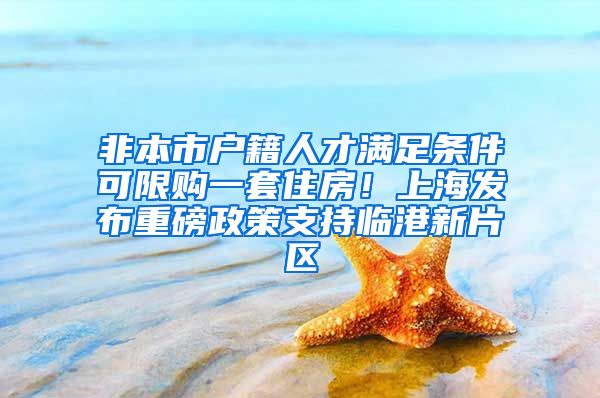 非本市户籍人才满足条件可限购一套住房！上海发布重磅政策支持临港新片区