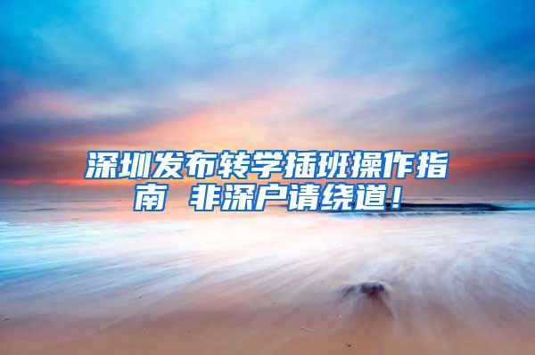 深圳发布转学插班操作指南 非深户请绕道！