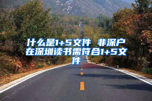 什么是1+5文件 非深户在深圳读书需符合1+5文件