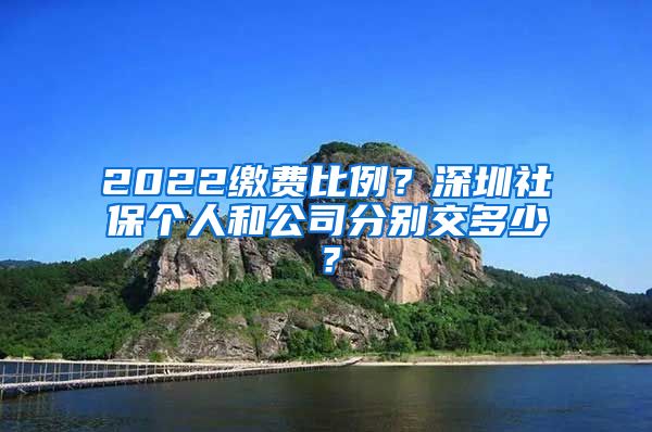 2022缴费比例？深圳社保个人和公司分别交多少？