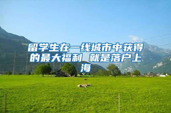 留学生在一线城市中获得的最大福利 就是落户上海