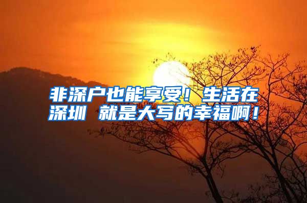 非深户也能享受！生活在深圳 就是大写的幸福啊！